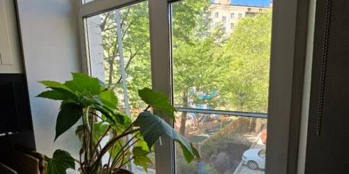 2-комн квартира Новолесной переулок,  д. 7