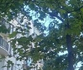 Продать Квартиры вторичка Офицерский переулок, 7   