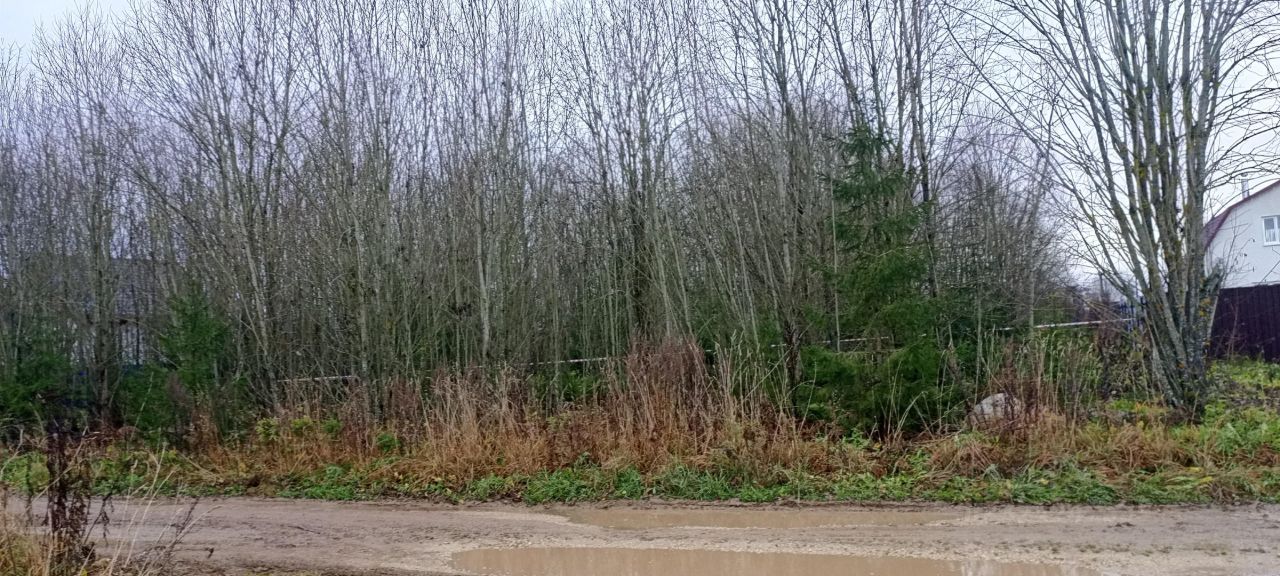 Продажа земли д. Калитино, улица Новодеревенская