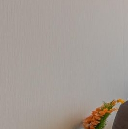 Аренда студии пос. Парголово, проезд Толубеевский, 8к2 Аренда студии пос. Парголово, проезд Толубеевский, 8к2