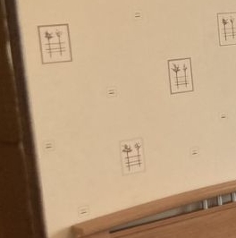 Аренда 3-комн квартиры на вторичном рынке улица Димитрова, 31/1 Аренда 3-комн квартиры на вторичном рынке улица Димитрова, 31/1