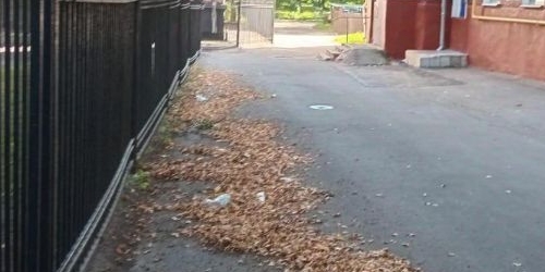 Комната 14-я Парковая улица, 4