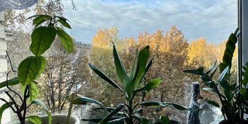 1-комн квартира Краснопутиловская улица, 28/20