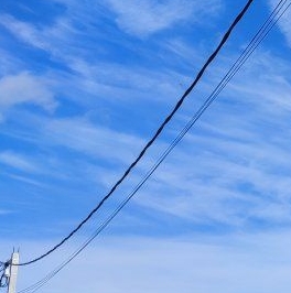 Продажа земли д. Рюмки, улица Разнотравная