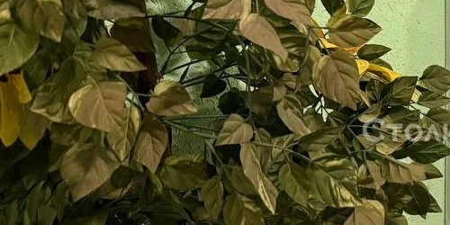 2-комн квартира улица Летчика Бабушкина, 41