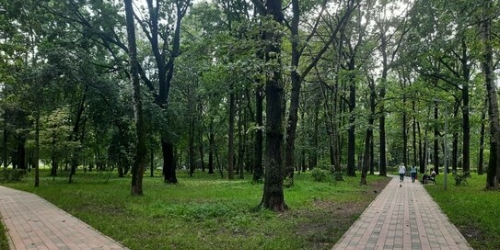 2-комн квартира улица Говорова,  д. 1