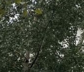 Продать Квартиры вторичка Бауманская улица, 43/1С2   