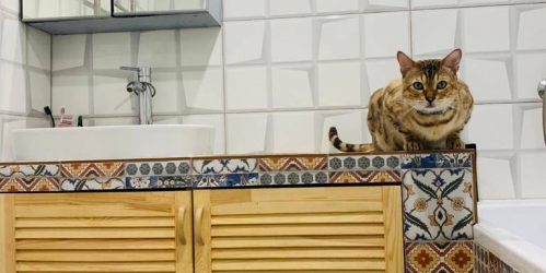 2-комн квартира 3-я Рейсовая улица,  д. 8