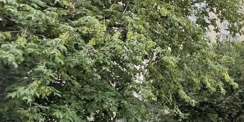 2-комн квартира Новокузнецкая улица, 35-37С2