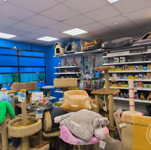 Торговое помещение Среднеохтинский просп.,  д. 51