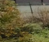 Продать Дачи, коттеджи, загородные дома д. Решетниково, Полярник-2 СНТ, проезд 12-й Полярный   