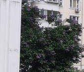 Продать Квартиры вторичка Люберцы, улица Черемухина, 12   