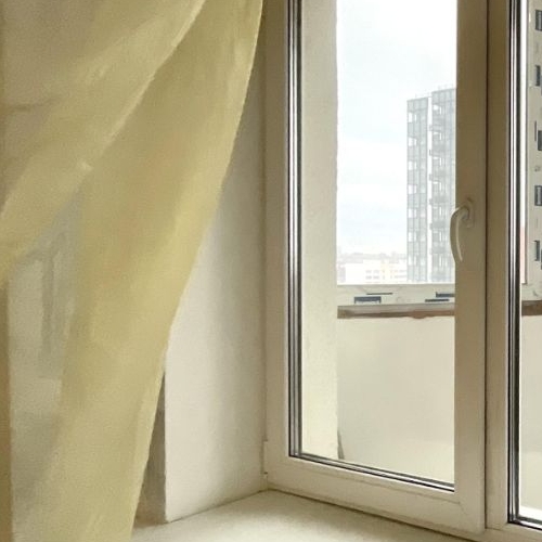 Студия пос. Шушары, улица Валдайская, 1