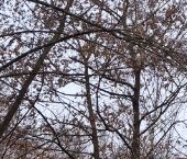 Продать Квартиры вторичка Севанская улица, 9К2   