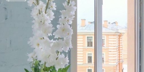 3-комн квартира Смольный проспект, 3