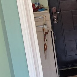 Аренда 2-комн квартиры на вторичном рынке Волгоградский проспект, 122К2