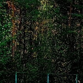 Продажа дома Плодовое СНТ Продажа дома Плодовое СНТ