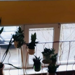 Продажа 2-комн квартиры на вторичном рынке Космонавтов пр-кт,  д. 52 к6