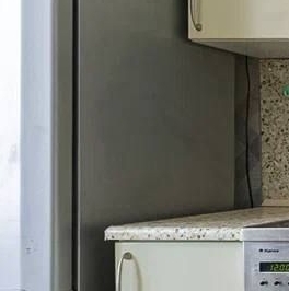 Аренда 1-комн квартиры на вторичном рынке улица Савушкина, 131 Аренда 1-комн квартиры на вторичном рынке улица Савушкина, 131