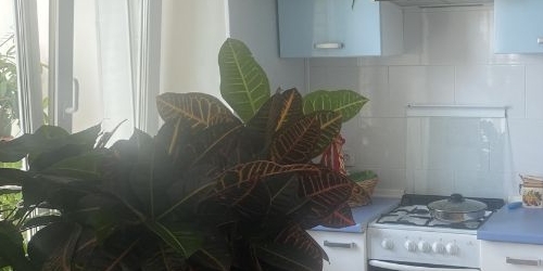 2-комн квартира Пушкин, улица Генерала Хазова, 30