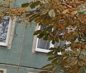 Продать Квартиры вторичка Светлановский проспект, 75   