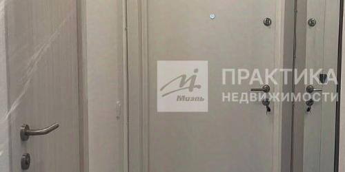 1-комн квартира улица Академика Павлова, 56к1