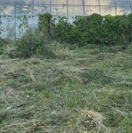 Продажа дома Петергоф, улица Скороходовская