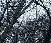 Продать Квартиры вторичка Серпухов, Текстильная улица, 17   