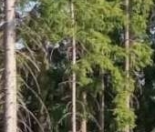 Продать Дачи, коттеджи, загородные дома Выборг, улица Лермонтовская   