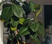 Продать Квартиры вторичка улица Симонова, 7К1   