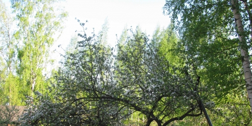 Коттедж/дом Пушкин г, Колпинское ш,  д. 95