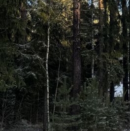 Продажа земли Гармония СНТ, 3-я Озерная линия,  д. 11