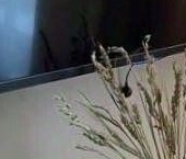 Сдать в аренду Квартиры вторичка Тверской бульвар, 17С1   