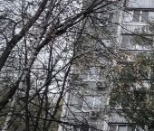 Продать Квартиры вторичка Новгородская улица, 16К1   