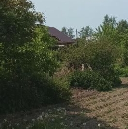 Продажа земли Учхоз садоводческий массив, Статор СНТ, д. 27 Продажа земли Учхоз садоводческий массив, Статор СНТ, д. 27