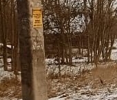 Продать Земельные участки, земля д. Маргусы, аллея Вековая   