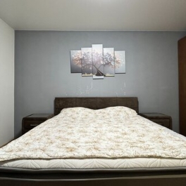 Продажа 2-комн квартиры на вторичном рынке Сестрорецк г, Таможенная дорога,  д. 11,  к. 1 стр 1