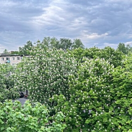 Продажа 3-комн квартиры на вторичном рынке Шаумяна пр-кт,  д. 85