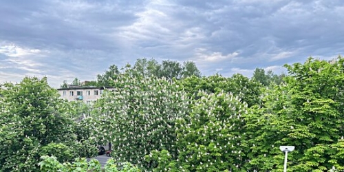 3-комн квартира Шаумяна пр-кт,  д. 85