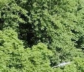 Продать Комнаты в квартирах улица Демьяна Бедного, 29   