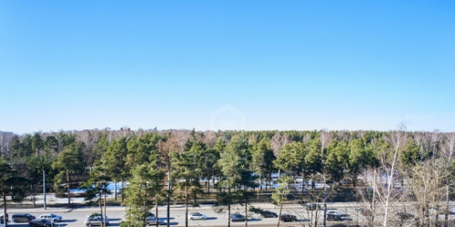 3-комн квартира Светлановский пр-кт,  д. 45