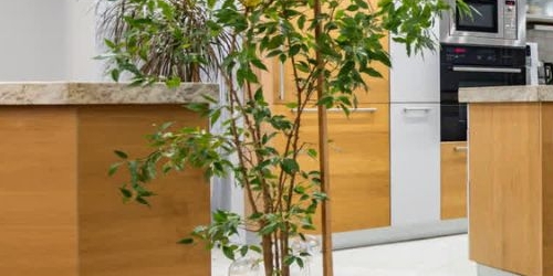 4-комн квартира переулок Старый Толмачевский, 3