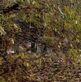 Аренда 3-комн квартиры на вторичном рынке улица Борисовские Пруды, 38 Аренда 3-комн квартиры на вторичном рынке улица Борисовские Пруды, 38