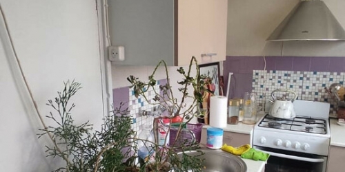 1-комн квартира Коллонтай ул,  д. 27,  к. 2