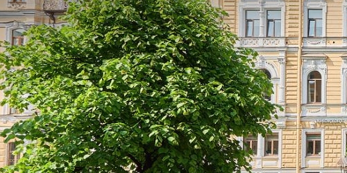 2-комн квартира улица Чайковского, 39