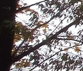 Продать Комнаты в квартирах Хабаровская улица, 12/23   