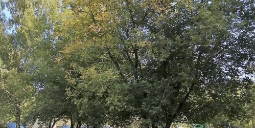 2-комн квартира Харьковская ул, 8К2