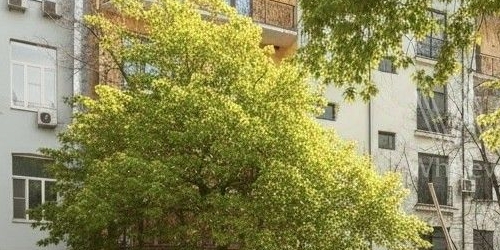 2-комн квартира Староконюшенный переулок, 45