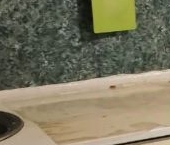 Сдать в аренду Квартиры вторичка Котельники, улица Кузьминская, 7   