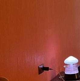 Аренда комнаты Съезжинская улица, 24В